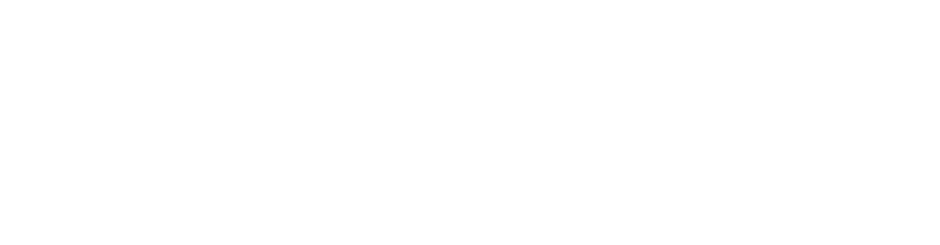 Memvision Internet Services